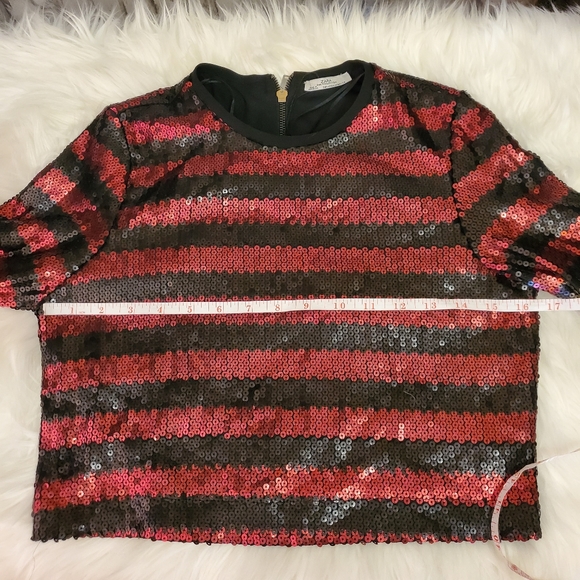 Zara Sequined Crop Top - Picture 5 of 9